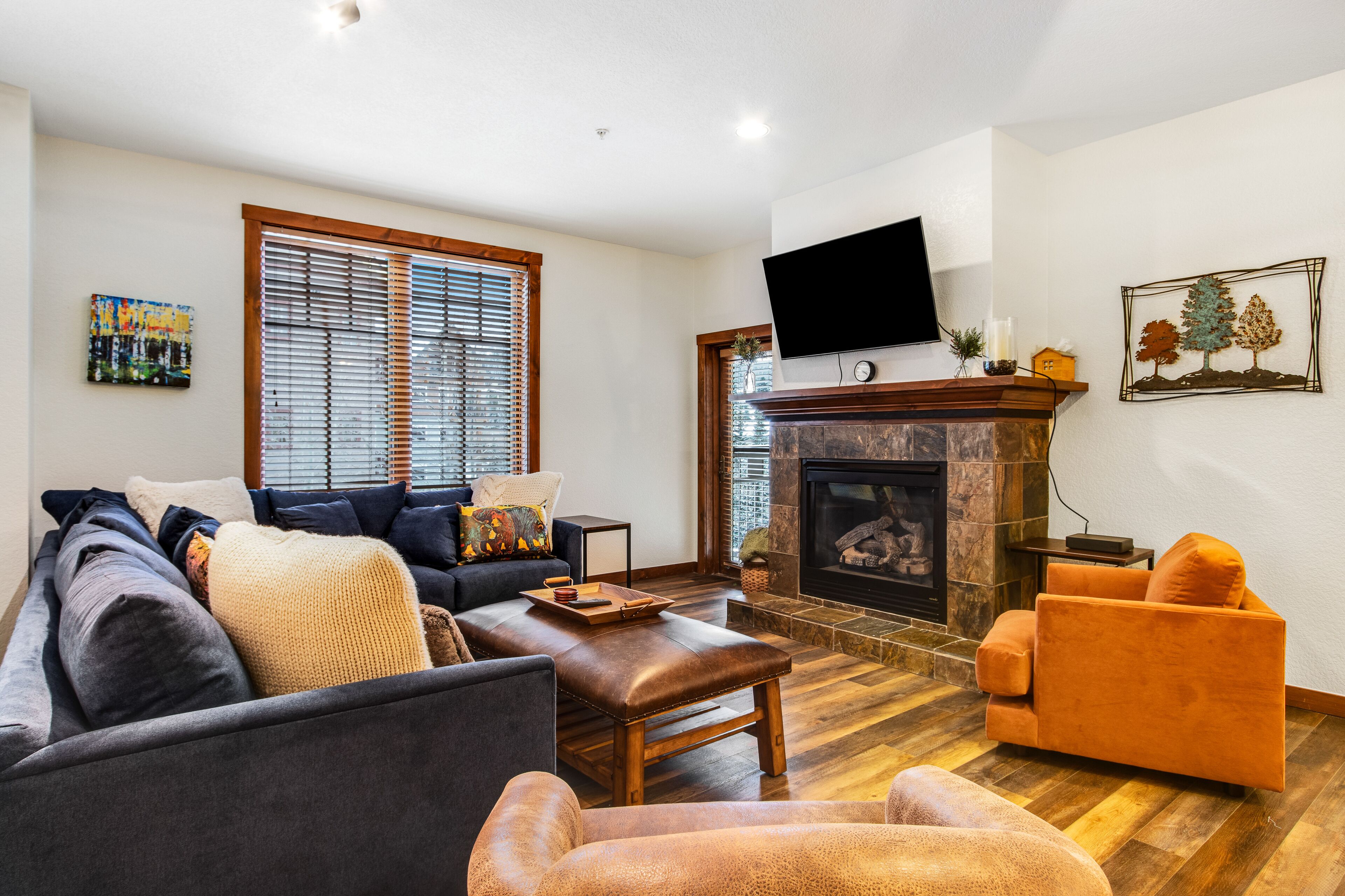 TV, fireplace, DVD player