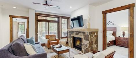 TV, fireplace, video games, DVD player