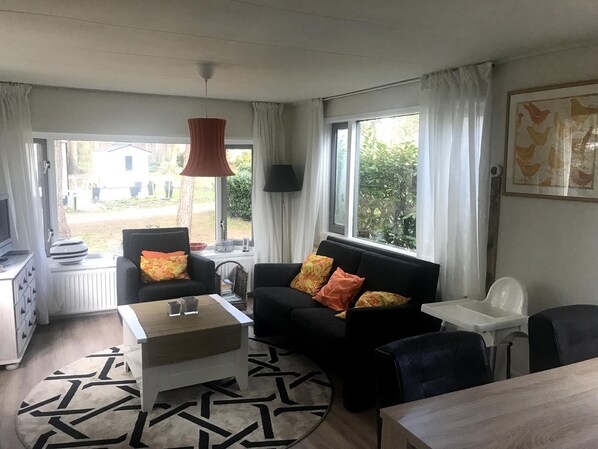 TV, DVD player, ping pong, books