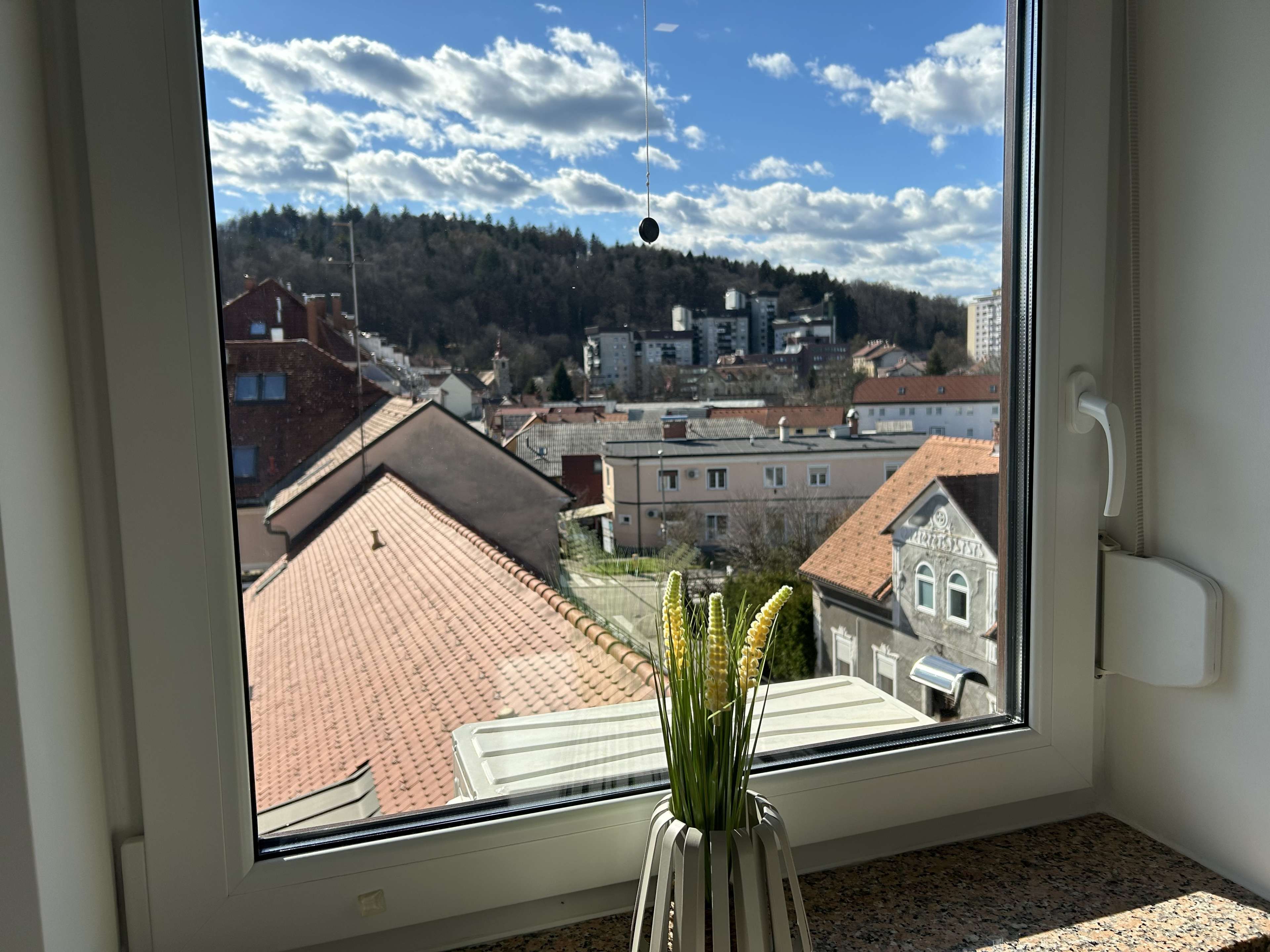 A window with a view of a town, a potted plant, and a thermostat.