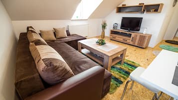 公寓 (One-bedroom apartment) | 客廳 | 電視