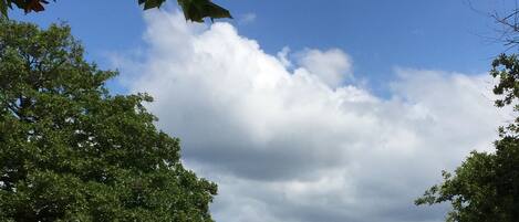 Plage à proximité, chaises longues