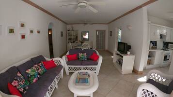 TV connectée, lecteur de DVD, livres, chaßne hi-fi