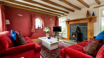 Smart TV, fireplace, books