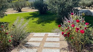 Um jardim com um caminho de pedra que leva a uma grande árvore, rodeado por arbustos e flores diversos.