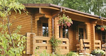 Cosy Rowan (3) woodland lodge by Killin, Loch Tay