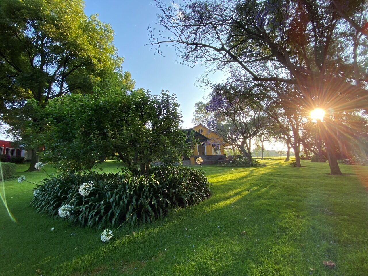 Um gramado bem cuidado com diversas árvores e um edifício ao fundo.