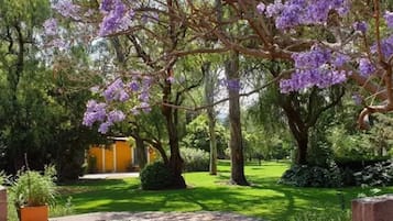 Jardín