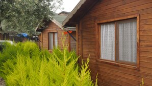 Una cabaña de madera con ventana y puerta, rodeada de vegetación.
