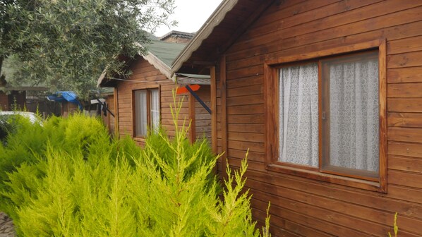 A wooden cabin with a window and a door, surrounded by greenery.