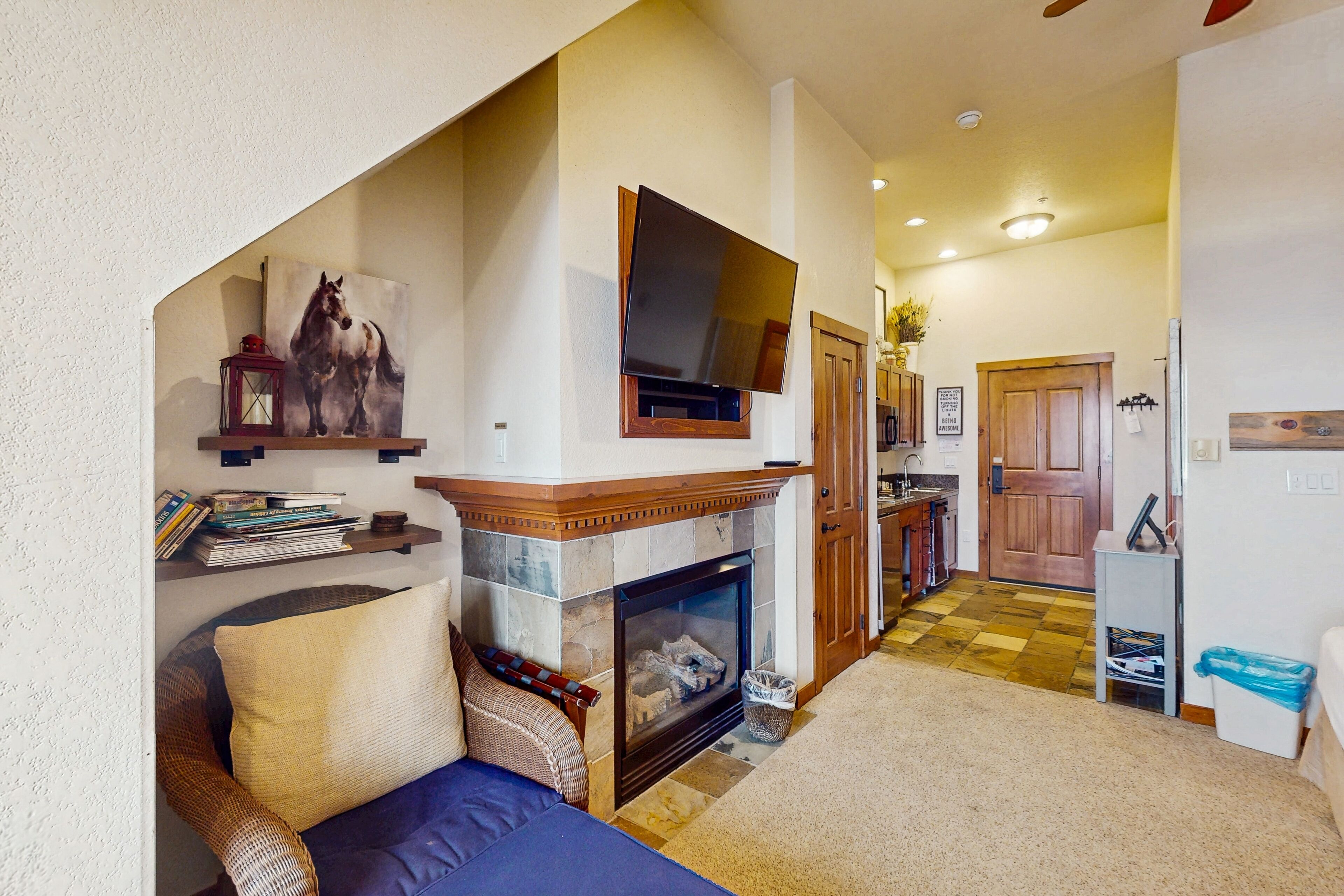 电视、壁炉、DVD 播放器