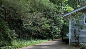 Un camino de entrada residencial que conduce a una casa rodeada de abundante vegetación.