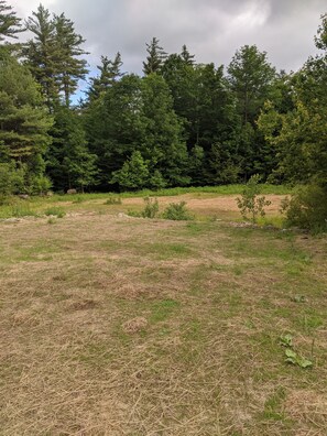 A natural landscape with a grassy field, dense trees, and a clear sky. - Escape to The Adirondack Retreat ~ Gore Skiing & Lake George! (Athol)
