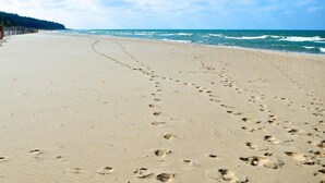 A sandy beach with footprints leading towards the ocean. - Douglas Modern Villa - Steps to Downtown! (Douglas)