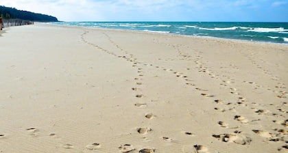 Douglas Modern Villa - Steps to downtown | Game RM | Backyard Oasis