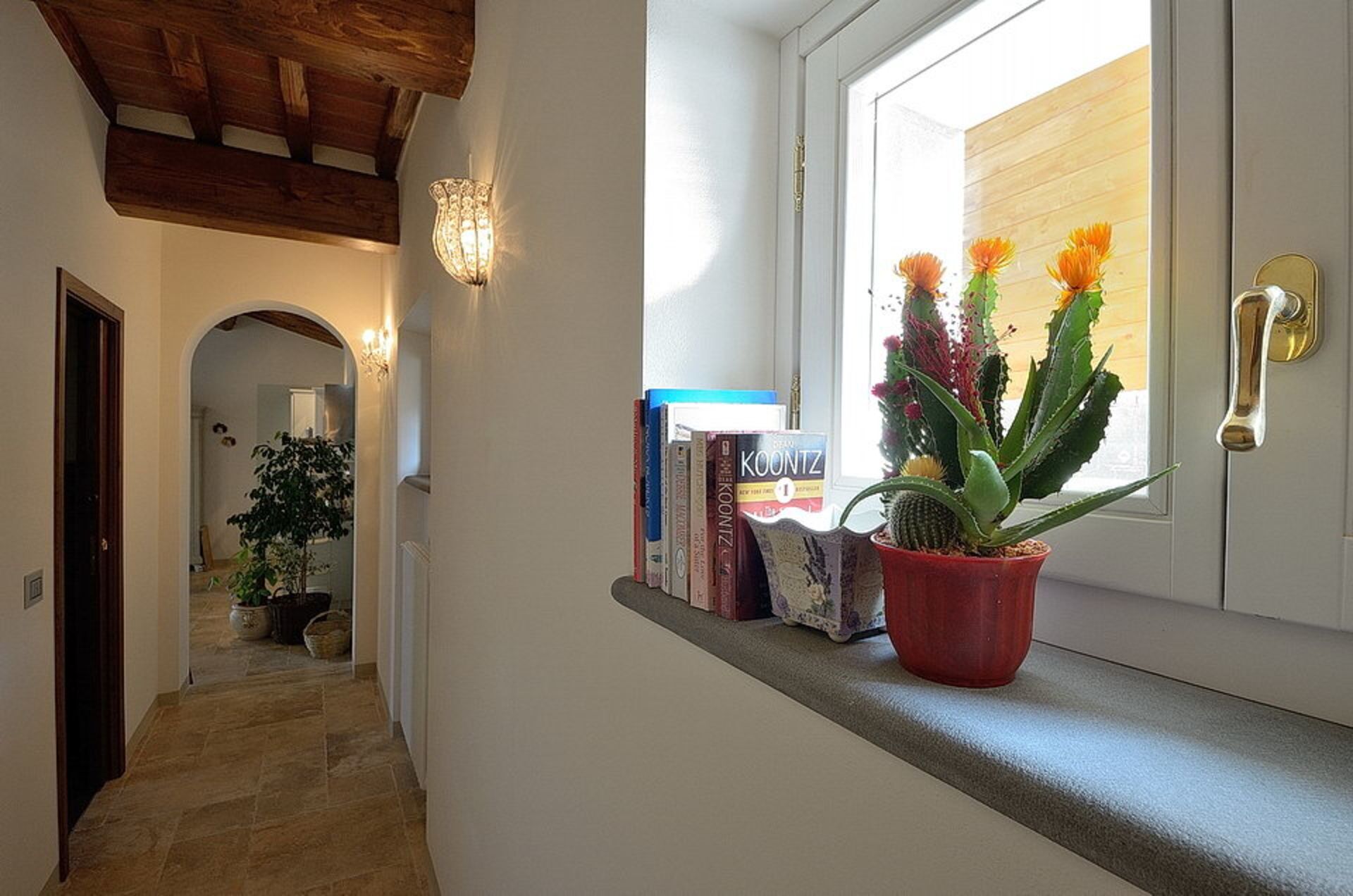 Un couloir avec un plafond en bois, une plante en pot contenant des cactus et des fleurs, posée sur un rebord de fenêtre, et une porte dotée d’une poignée en laiton.
