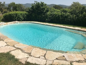 Ein rechteckiger Pool mit klarem, blauem Wasser, umgeben von Steinplatten und mit einem steinernen Rand.