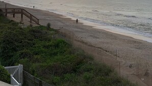 Una spiaggia con una passerella in legno che conduce alla riva, circondata da vegetazione.