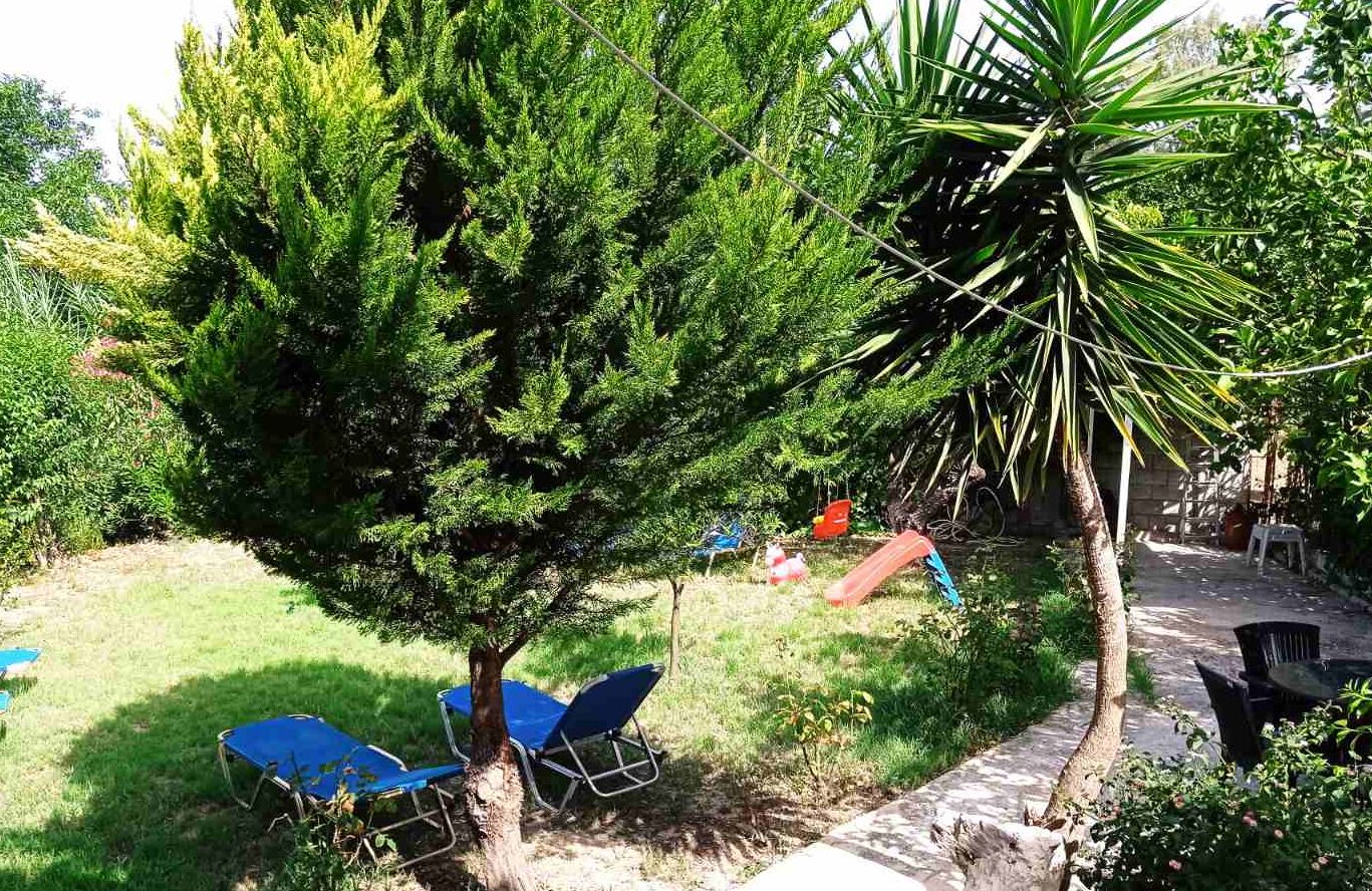 A garden with a large tree, a palm tree, and a blue lawn chair.