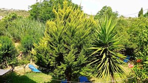 A garden with various plants and trees, including a prominent yucca plant. There are blue chairs and a blue structure, possibly a gazebo or a small shed. - Julia Holiday Apartments (Zakynthos)