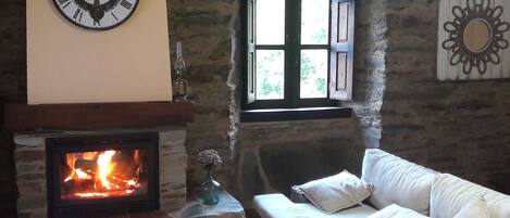 Una televisión, una chimenea, libros