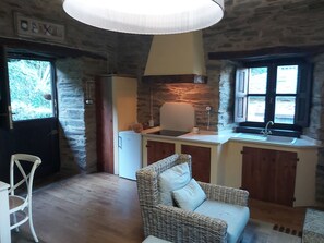 TV, fireplace, books - Tourist use housing  (Lugo)