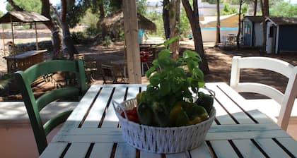 Top equipped house, 4-5 beds in 2-3 bedrooms, 1 bathroom,