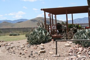 Terrain de l’hébergement 