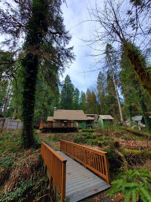 Property grounds - The North Bank Cabin,100ft private McKenzie Riverfront, Grill, 20min to Falls (McKenzie Bridge)