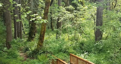 The North Bank Cabin,100ft private McKenzie Riverfront, Grill, 20min to Falls