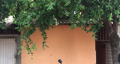 Hostel São Pedro