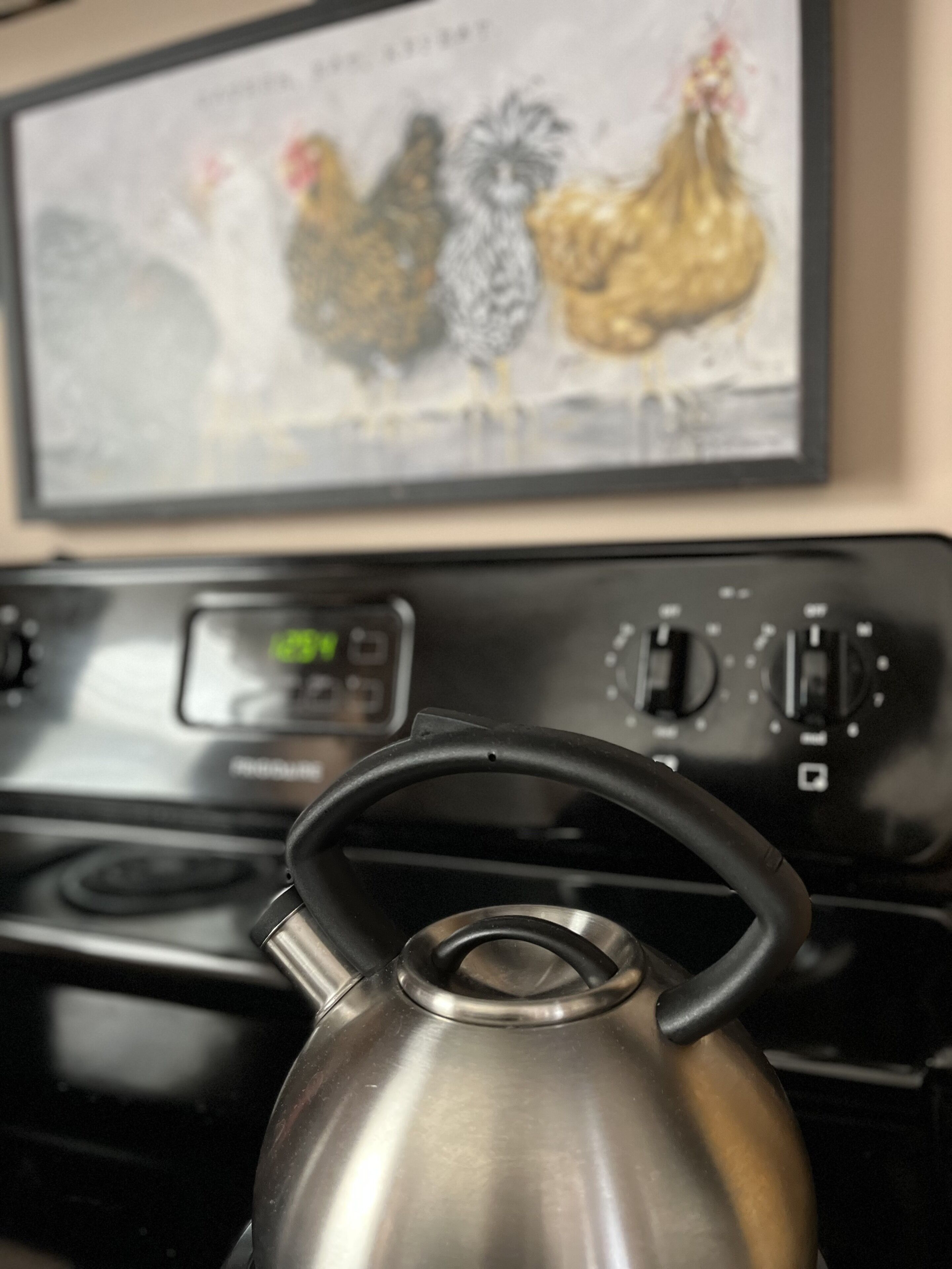 Une bouilloire en acier inoxydable posée sur une cuisinière noire.