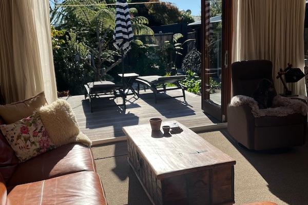 Smart TV, chimenea, libros