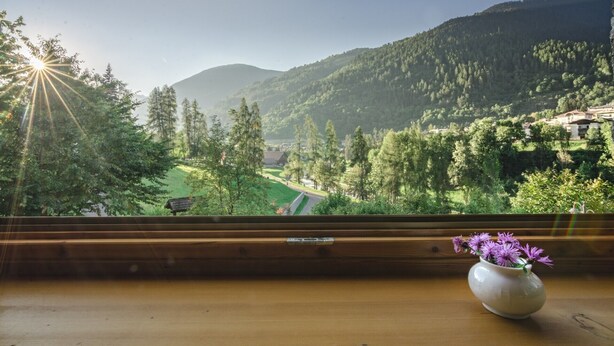 A wooden table with a vase of purple flowers and a view of a green valley with trees and a mountain in the background.