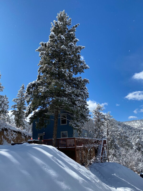 Exterior - National Forest views from the hot tub! (Ruidoso)