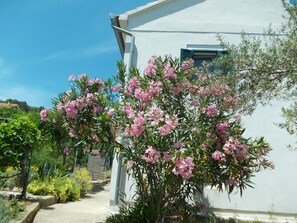 Ferienhaus, 3 Schlafzimmer, Raucher, Balkon | Aussenbereich