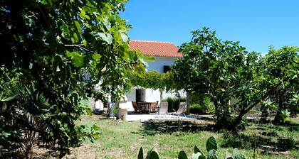 Detached House Miketa