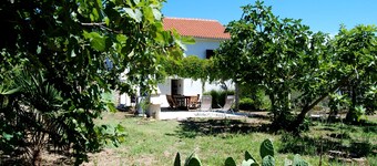 Detached House Miketa