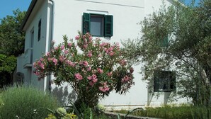 Ein weißes Gebäude mit grünen Fensterläden, umgeben von üppigem Grün und rosa Blumen.