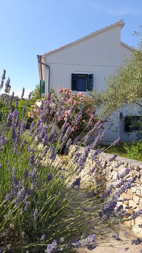 Detached House Miketa