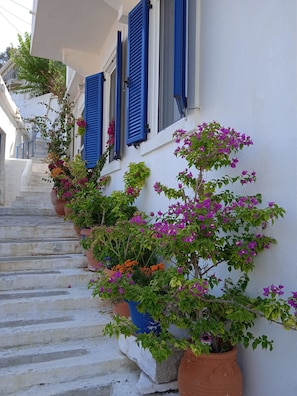 Apartment, 1 Bedroom, Smoking, Patio | Exterior detail