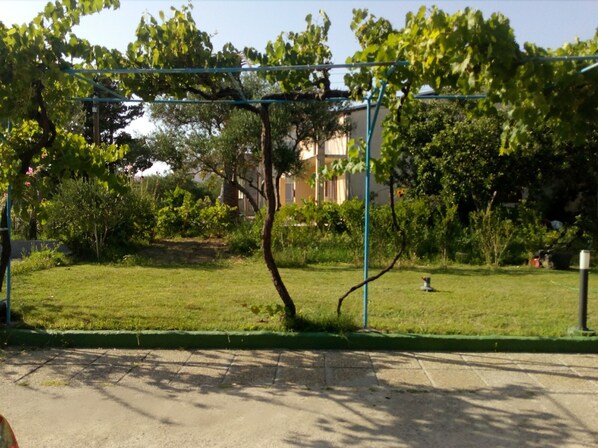 Apartment, 1 Bedroom, Terrace | Property grounds