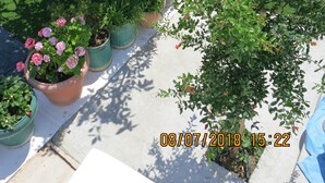 A rooftop garden with various potted plants and flowers, surrounded by a white wall and a red roof. - Room-andoni's House in Pitrofos Andros i (Andros)