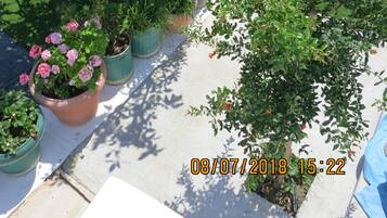 Room, 1 Bedroom, Balcony, Garden View | Property grounds