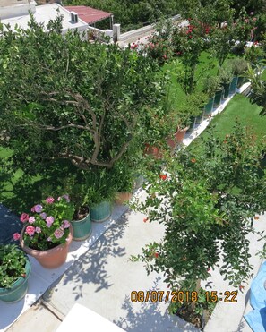 Chambre, 1 chambre, balcon, vue jardin | Enceinte de l’hébergement