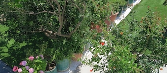 Room-andoni's House in Pitrofos Andros i