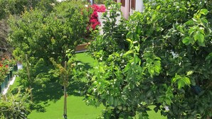 Un jardín con césped verde, árboles y una manguera.