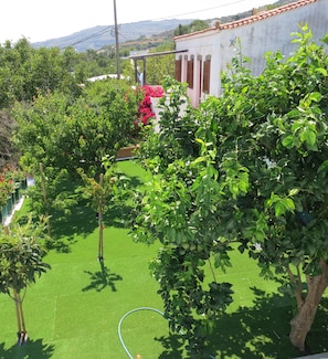 A garden with green grass, trees, and a hose. - Room-andoni's House in Pitrofos Andros i (Andros)