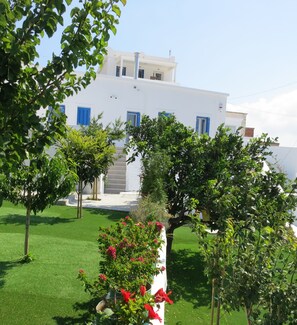 حديقة