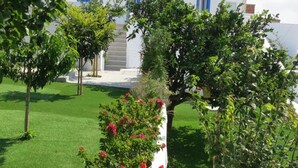حديقة